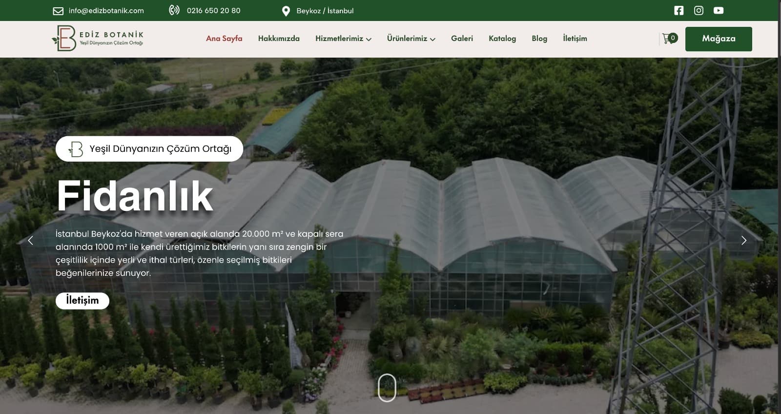 Ediz Botanik website redesign